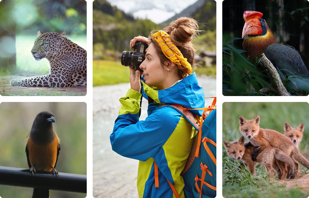 AI Image Process Preview